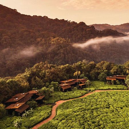 Rwumba One&Only Nyungwe Houseヴィラ エクステリア 写真