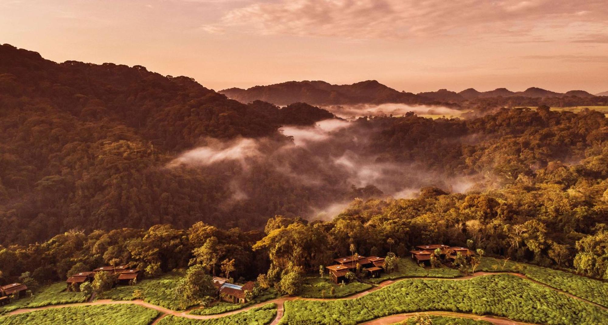 Rwumba One&Only Nyungwe Houseヴィラ エクステリア 写真