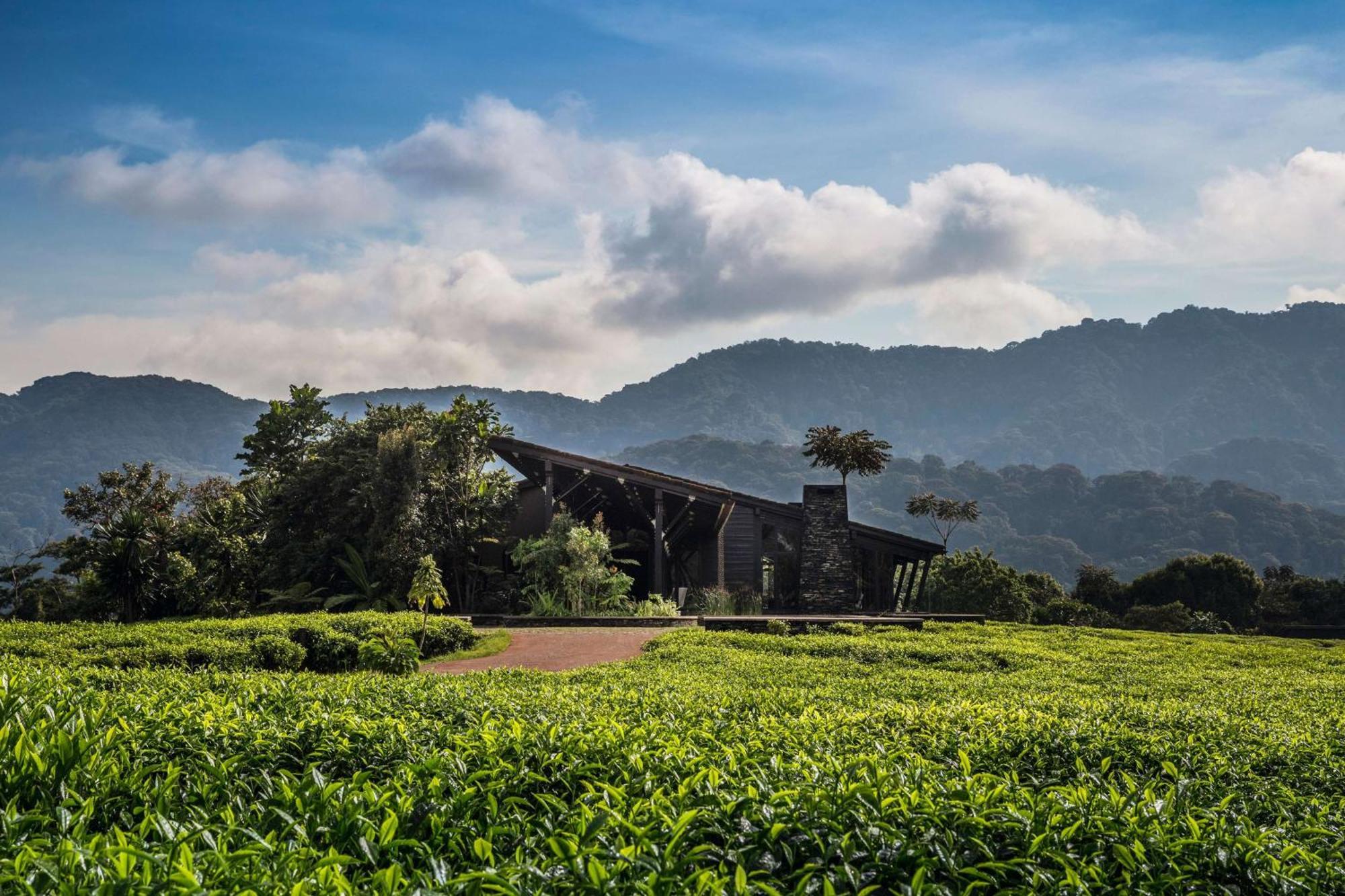 Rwumba One&Only Nyungwe Houseヴィラ エクステリア 写真