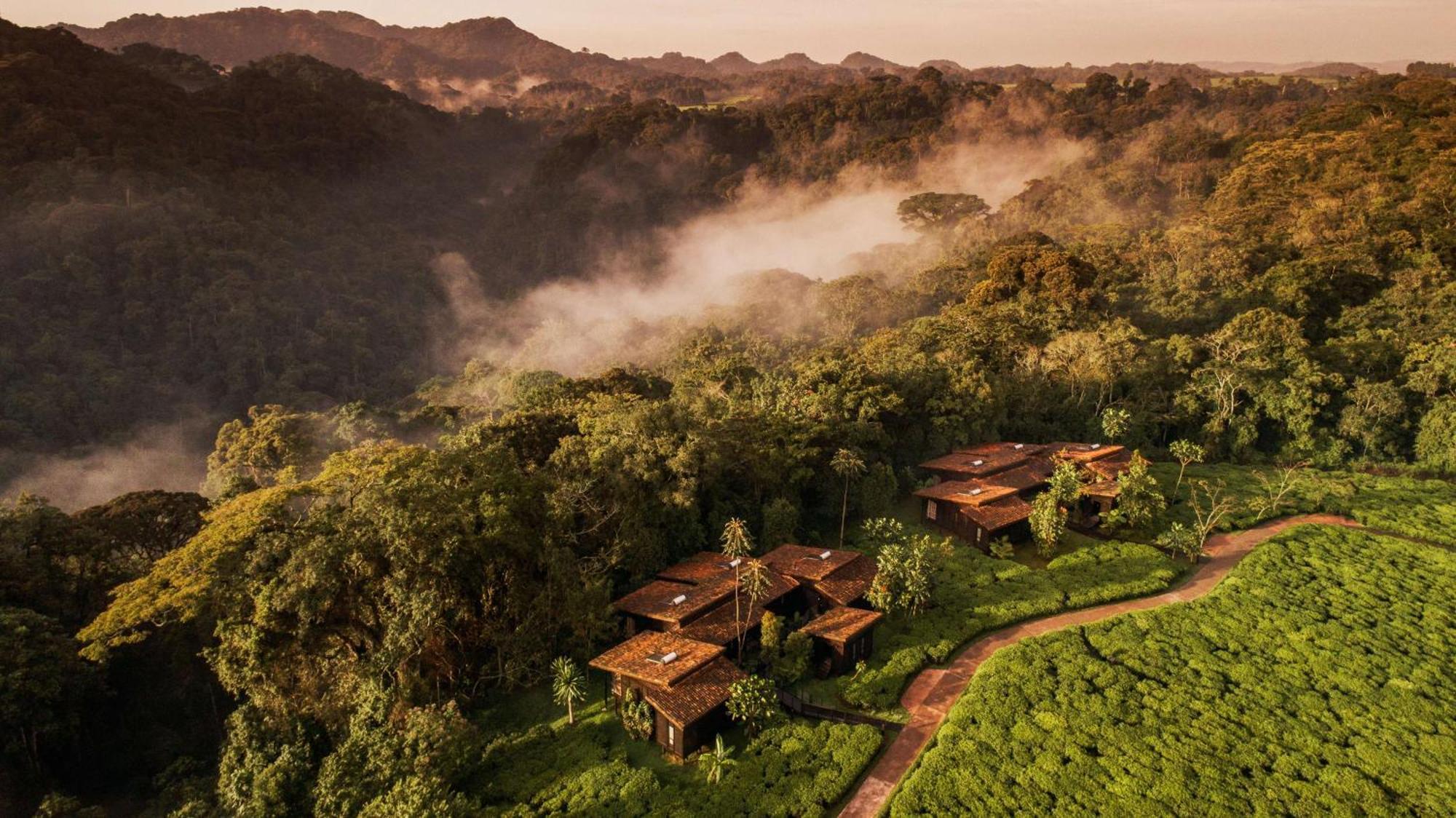 Rwumba One&Only Nyungwe Houseヴィラ エクステリア 写真