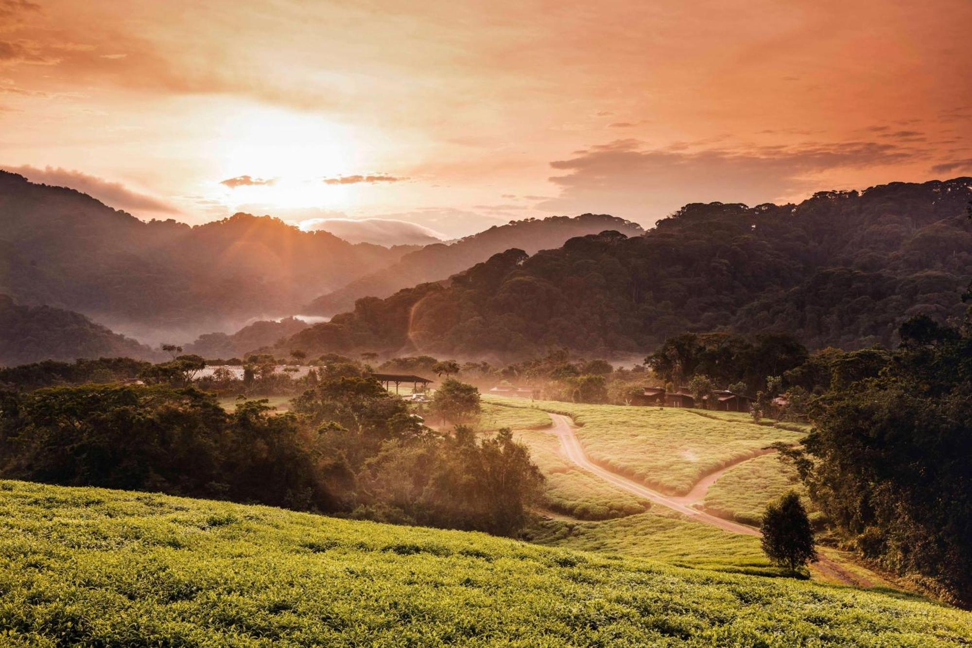 Rwumba One&Only Nyungwe Houseヴィラ エクステリア 写真