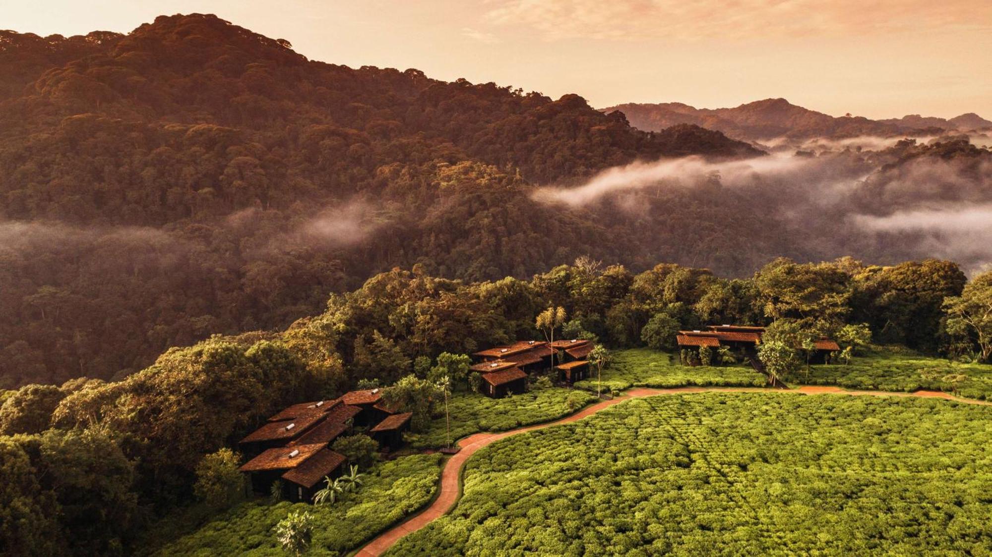 Rwumba One&Only Nyungwe Houseヴィラ エクステリア 写真