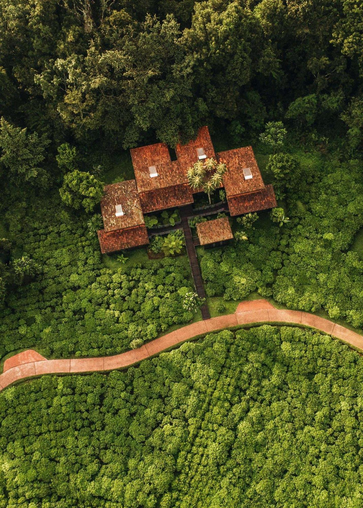 Rwumba One&Only Nyungwe Houseヴィラ エクステリア 写真
